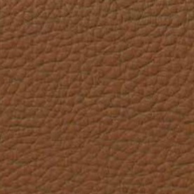 caramel Leather